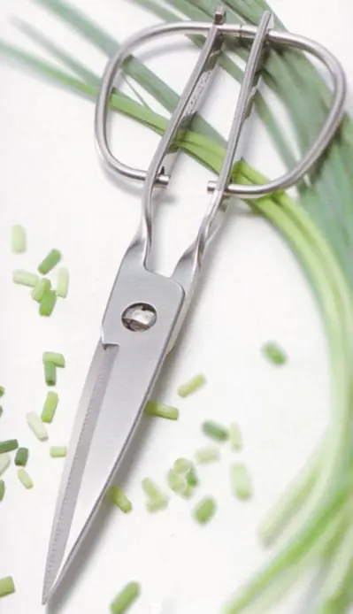 Ciseaux de Cuisine Inox Démontables TORIBE