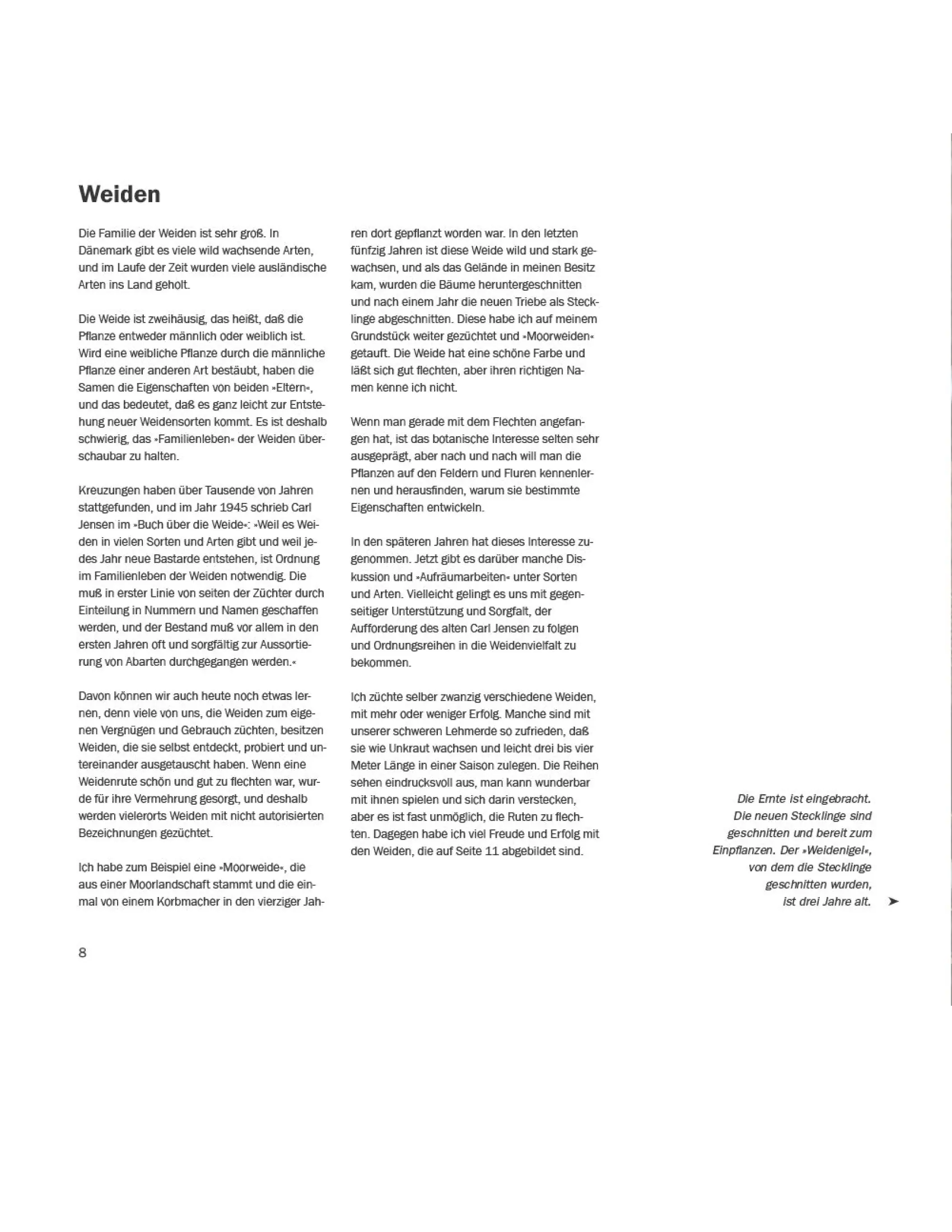 Weidengeflechte für Haus und Garten/Marianne Mortensen