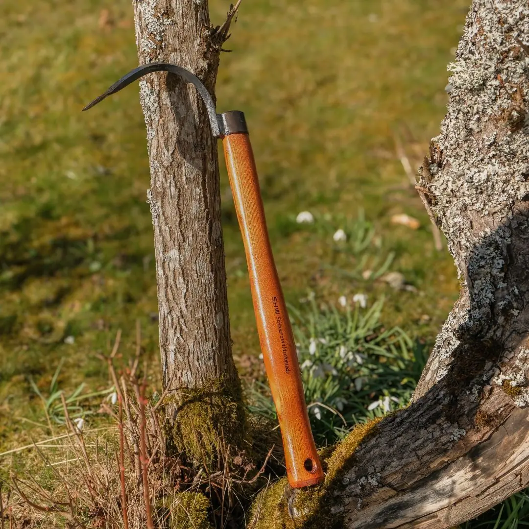 Petite Dent à Semaille pour Lit Surélevé avec Poignée Longueur totale 400 mm Tête 155 mm REX Petite Dent à Semaille pour Lit Surélevé avec Poignée Longueur totale 400 mm Tête 155 mm REX
