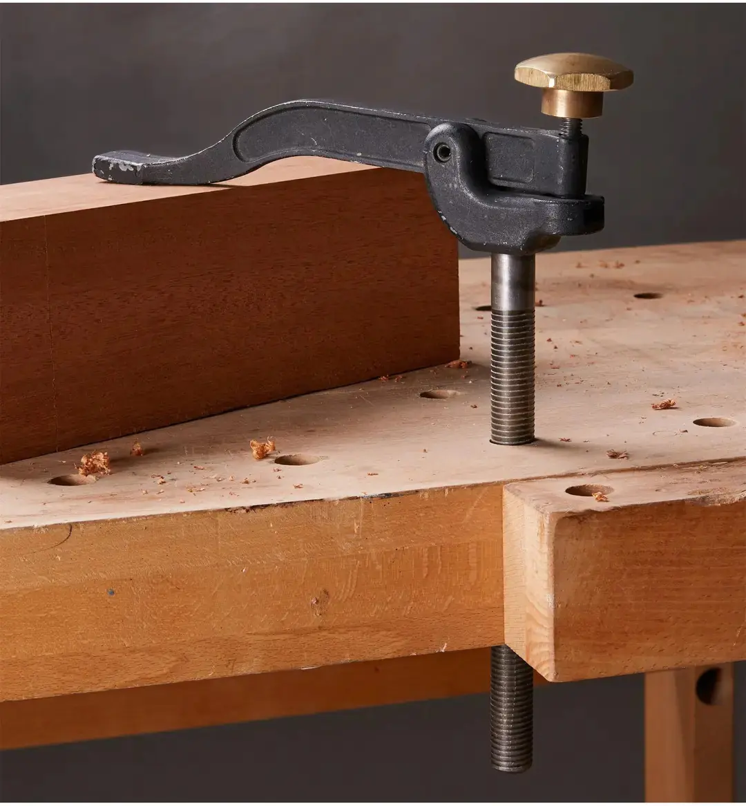 Presse de Maintien avec Tige de 254 mm (10 pouces) VERITAS